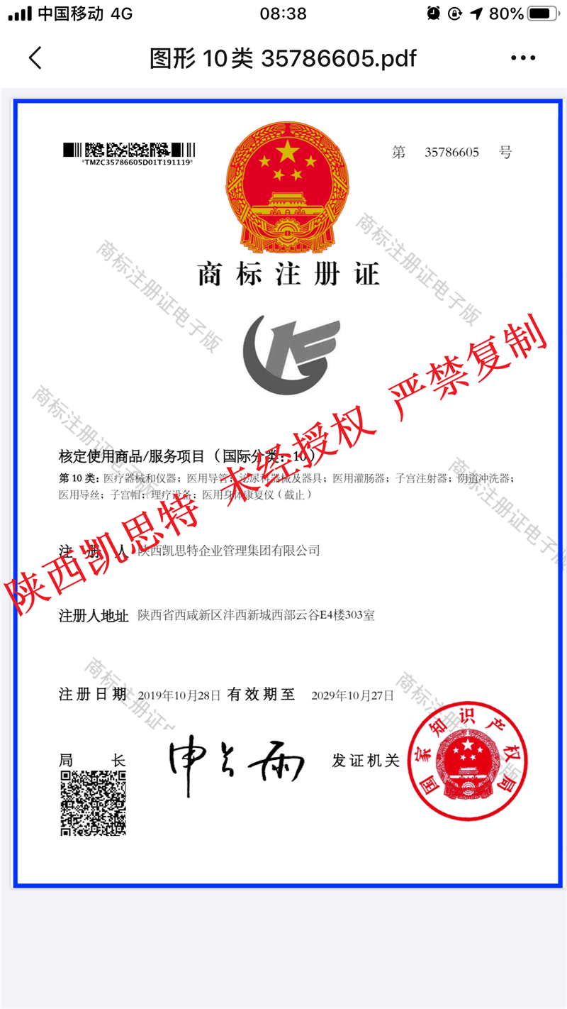 【陜西凱思特】圖形商標(biāo)