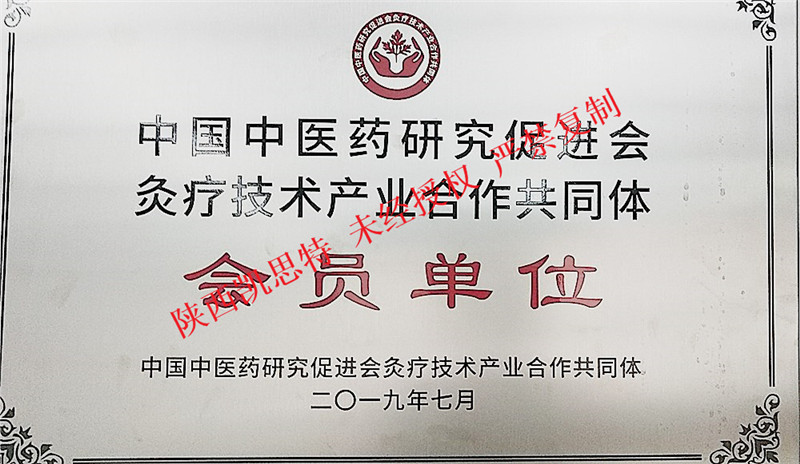 【陜西凱思特】中醫藥研究促進會合作會員單位榮譽